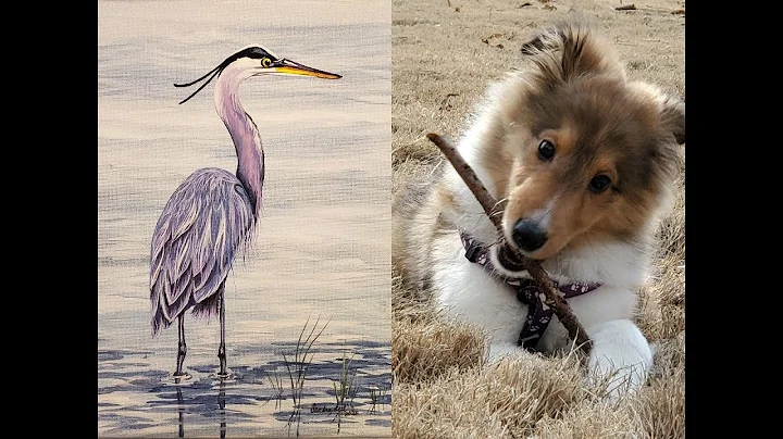 (418)  Blue Heron  Tutorial Now Available &  New P...