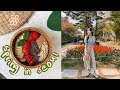 vlog • vegan chocolate bowl, nature walk, filming on set, sky lounge, tulip fields 🌷