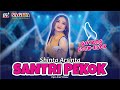 Shinta Arsinta - Santri Pekok | Goyang Esek Esek | Dangdut (Official Music Video)