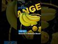 FNIRSI GC-03 | Geiger Counter Radiation Facts You Didn’t Know!