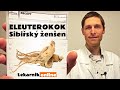 Eleuterokok, Sibiřský ženšen (9 min)