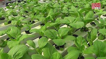 Ứng dụng công nghệ cao vào sản xuất nông nghiệp