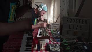 #harmonica #mızıka #beatbox #bluesmusic #reels #reelsinstagram #shorts #shortsvideo #loopstation #dj