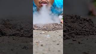 thick smoke enveloped the millipede habitat #shortvideo #millipede