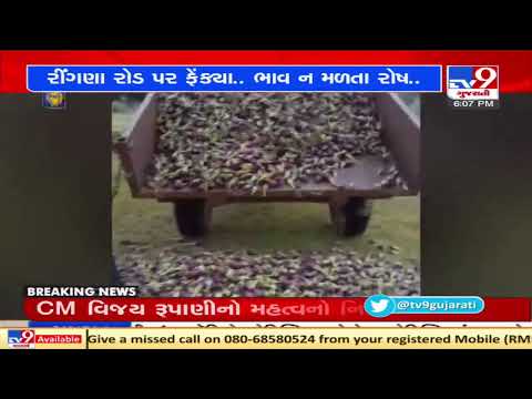 Farmers from Chotila empty their yield on streets after not getting proper rates, Surendranagar |TV9