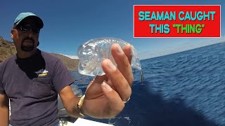 Transparent Translucent fish caught by Seaman 🎣 by Globe Lite 312 views 1 year ago 1 minute, 21 seconds