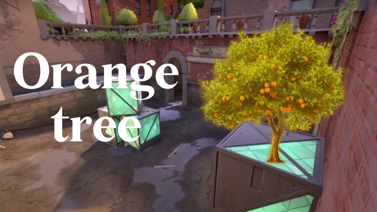 Orange tree // Valorant Edit