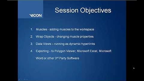 Polygon 4 tutorials - Muscles, Data Views, Export Options