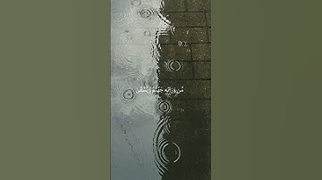 تلاوات قصيره |القارئ منير رحمه الله