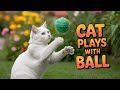 Cats playing with balls | funny cats videos 🤣 #cat #trending #shorts 