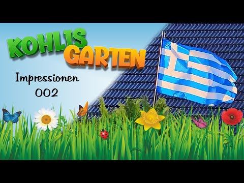 Kohlis Garten Impressionen #002 (Juni 2024)