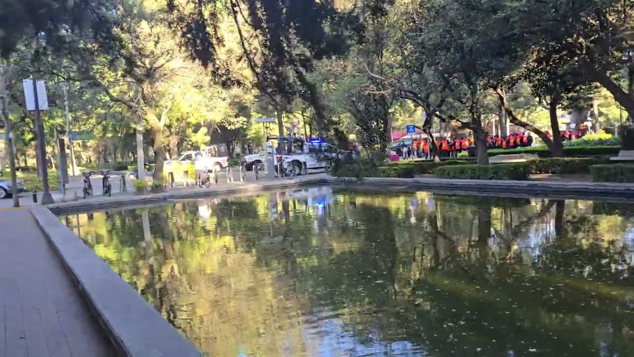 Last Morning In Mexico...Walk And Talk. 