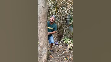Mau ketawa takut dosa video lucu bikin ngakak hiburan warga+62 viral video funny videos funny shorts