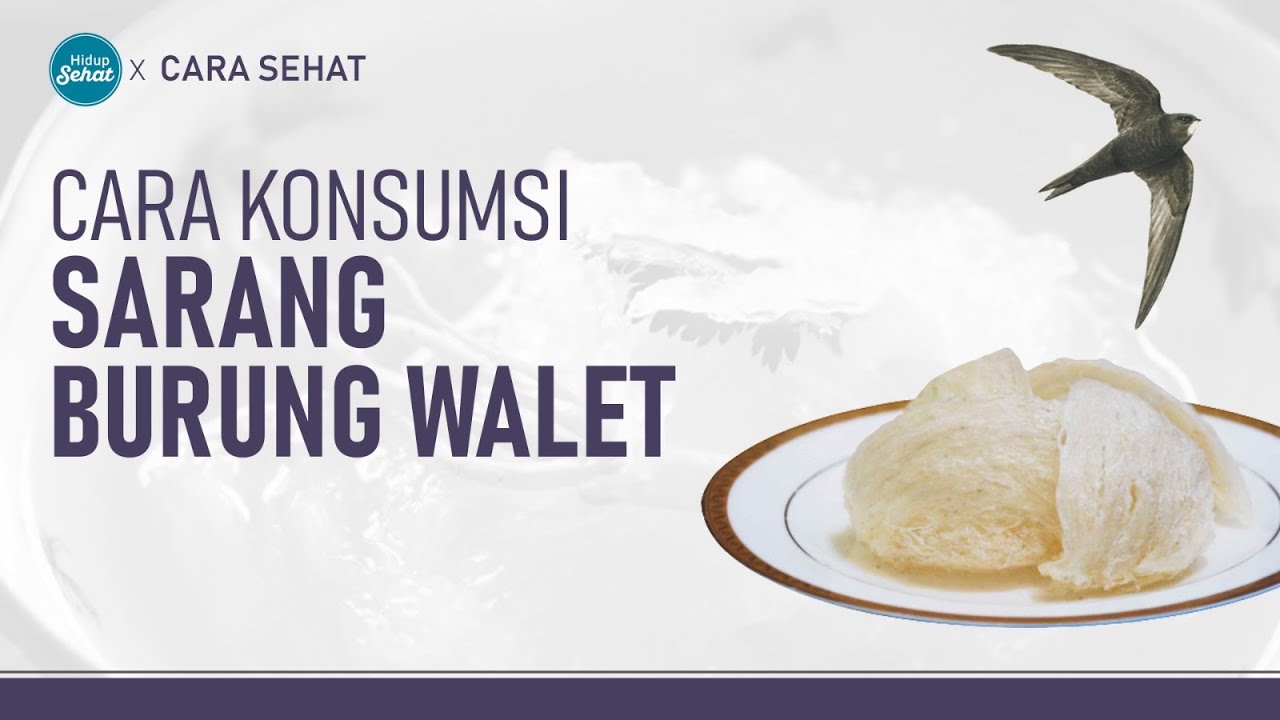 Cara Membuat Sup Sarang Burung Walet, Khasiatnya Berlimpah! | Hidup Sehat tvOne
