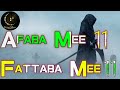 Afaba mee 11 fattaba mee 11