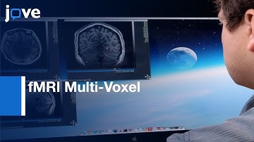 Emergence of fMRI Multi-Voxel Information measured using connectivity | Protocol Preview
