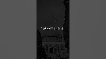حالات واتس آب القرآن الكريم 😍 أرح سمعك بذكر الله ⁦❤️⁩ شوف صندوق الوصف 👇(2)