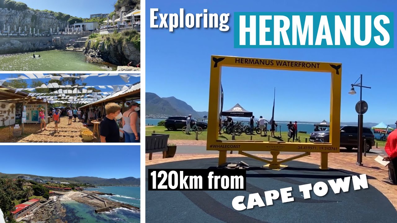 Exploring Hermanus - 120km from Cape Town