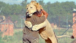 EMOTIVOS REENCUENTROS DE ANIMALES CON SUS DUEÑOS DESPUÉS DE AÑOS