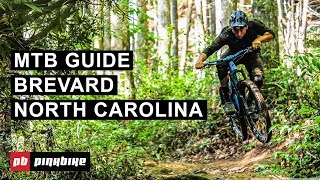 Mountain Biking in Brevard, North Carolina  The Complete Guide | Local Flavors