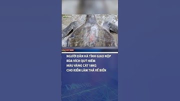 Người dân Hà Tĩnh giao nộp rùa vích quý hiếm màu vàng cát 18kg cho kiểm lâm thả về biển