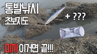 [통발낚시] 꽁치미끼와 이것 넣으면  초보자도 무조건 잡힌다!