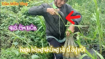 #418 thăm lờ cá lóc ở Bạc Liêu đi chung với em mãi trại một cái Lờ ba con hàng khủng là đây rồi 