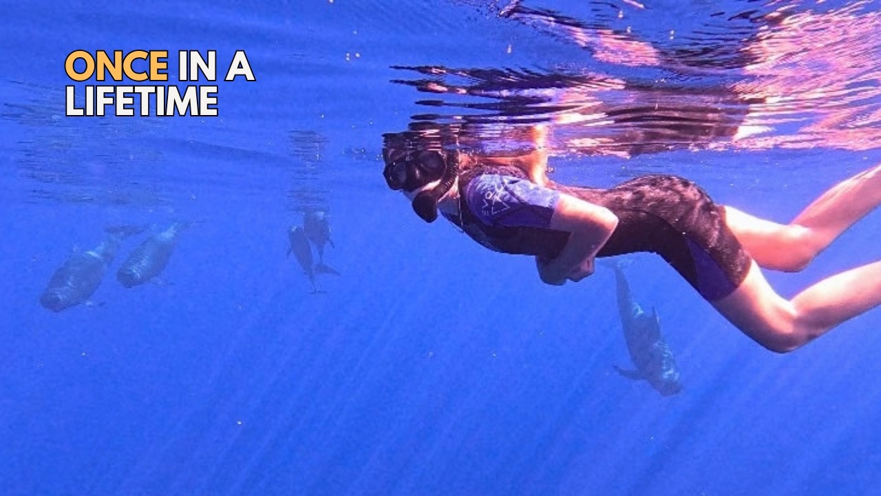 We Swam With Humpback Whales… Then Left Our Boat Behind