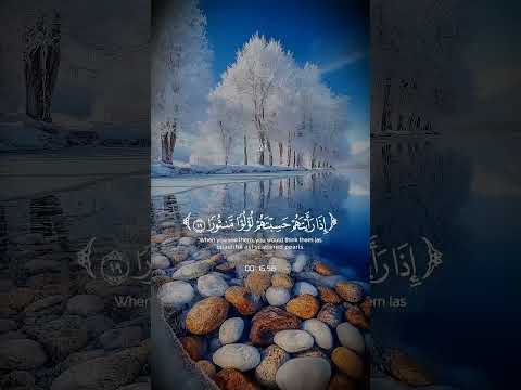 ق  رءآن  ك  ري ہم 