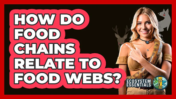 How Do Food Chains Relate to Food Webs?