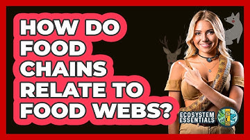 How Do Food Chains Relate to Food Webs?