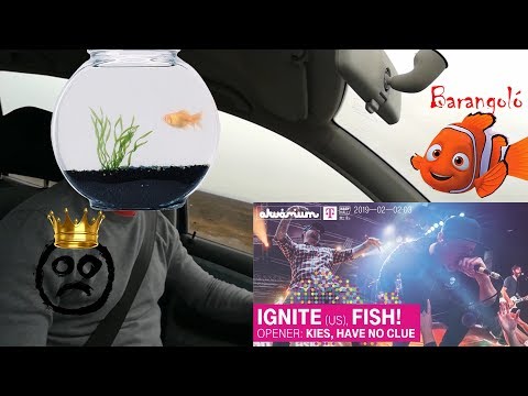BARANGOLÓ - Ignite, Fish!, Kies - Akvárium (2019.02.03.)