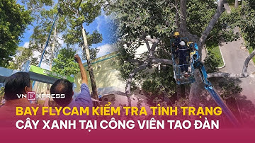 Bay flycam kiểm tra cây xanh ở công viên Tao Đàn | VnExpress