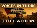 Voices In The Dust Full Afrobeats Album On Gaza Africa Resistance 