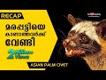 Recap: Vava suresh takes on a Palm Civet | Snakemaster Short Video