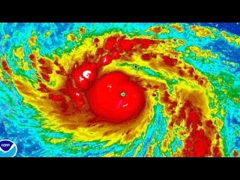 فيديو: ماذا كانت الاستجابة الفورية لإعصار هايان؟