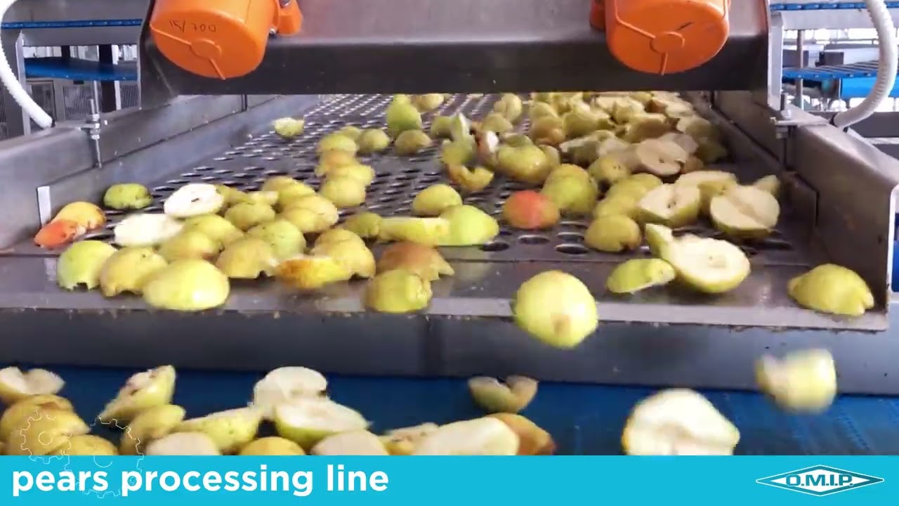 OMIP SRL -  Pears Processing Line