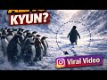 Instagram Penguin viral video | VIRAL PENGUIN STORY EXPLAINED FULL VIDEO | 2007 Story 70 Km#penguin