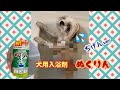 ワンコのお風呂♨️犬用入浴剤ぬくりん ！ぢげんver