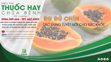 ĐU ĐỦ CHÍN   TÁC DỤNG TUYỆT VỜI CHO SỨC KHỎE