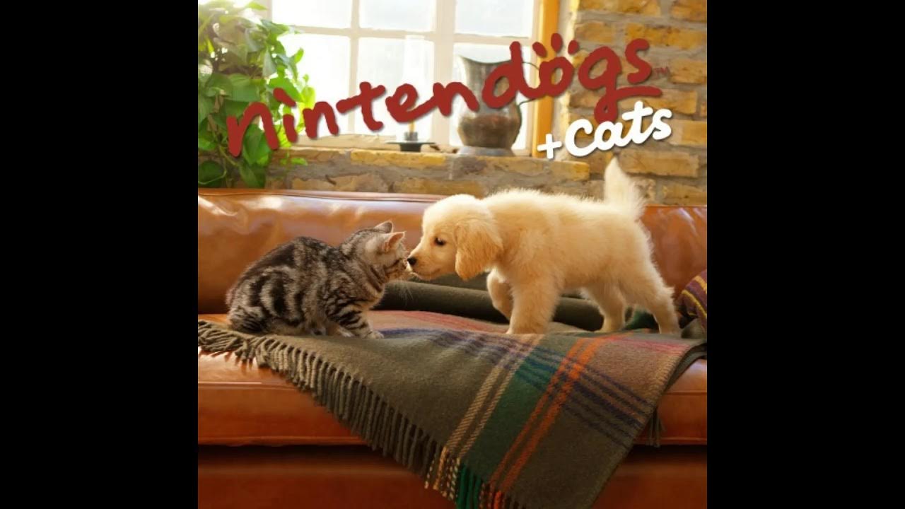 Nintendogs + Cats soundtrack Pet Tricks Manual YouTube