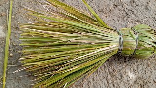 ఈత ఆకలత ఇటల బజల దలప బజ కరర ఎల చసతర చదద .