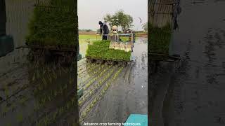 Advance Farming Techniques For Plants