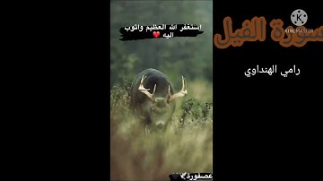 من قصار السور سورة الفيل