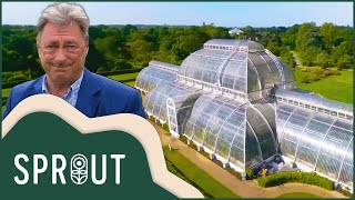 Top 50 Gardens In Britain | 50 Shades Of Green With Alan Titchmarsh | Sprout