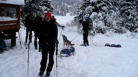 Alaska Sleddog Choir