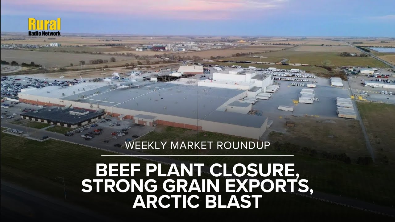 Markets React to Tyson Plant Closure, Strong Corn Exports & E15 Frustration | Weekly Market Roundup