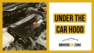 DRIVERS ED ZONE: "Under the Car Hood"