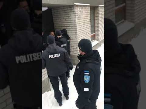 Video: Kuuluisin Taistelulajit