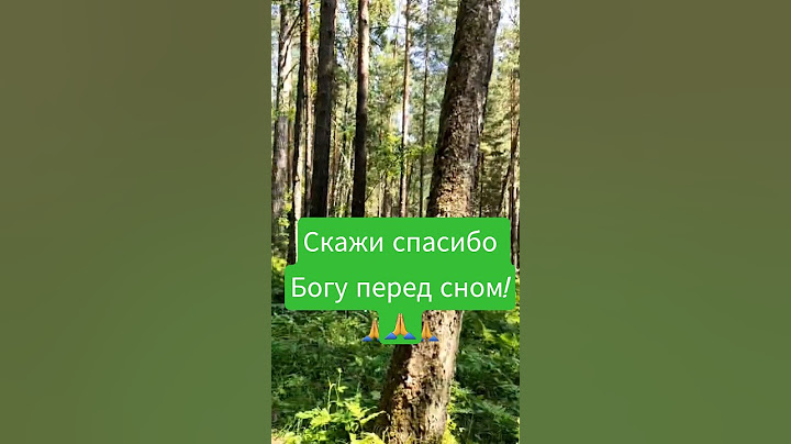 Скажи спасибо Богу перед сном! Продолжение песни Трогательно  #трогательно #стихи #спасибо #бог